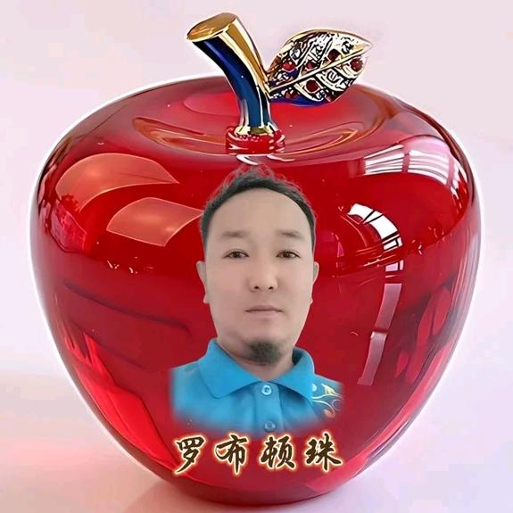 真心真世