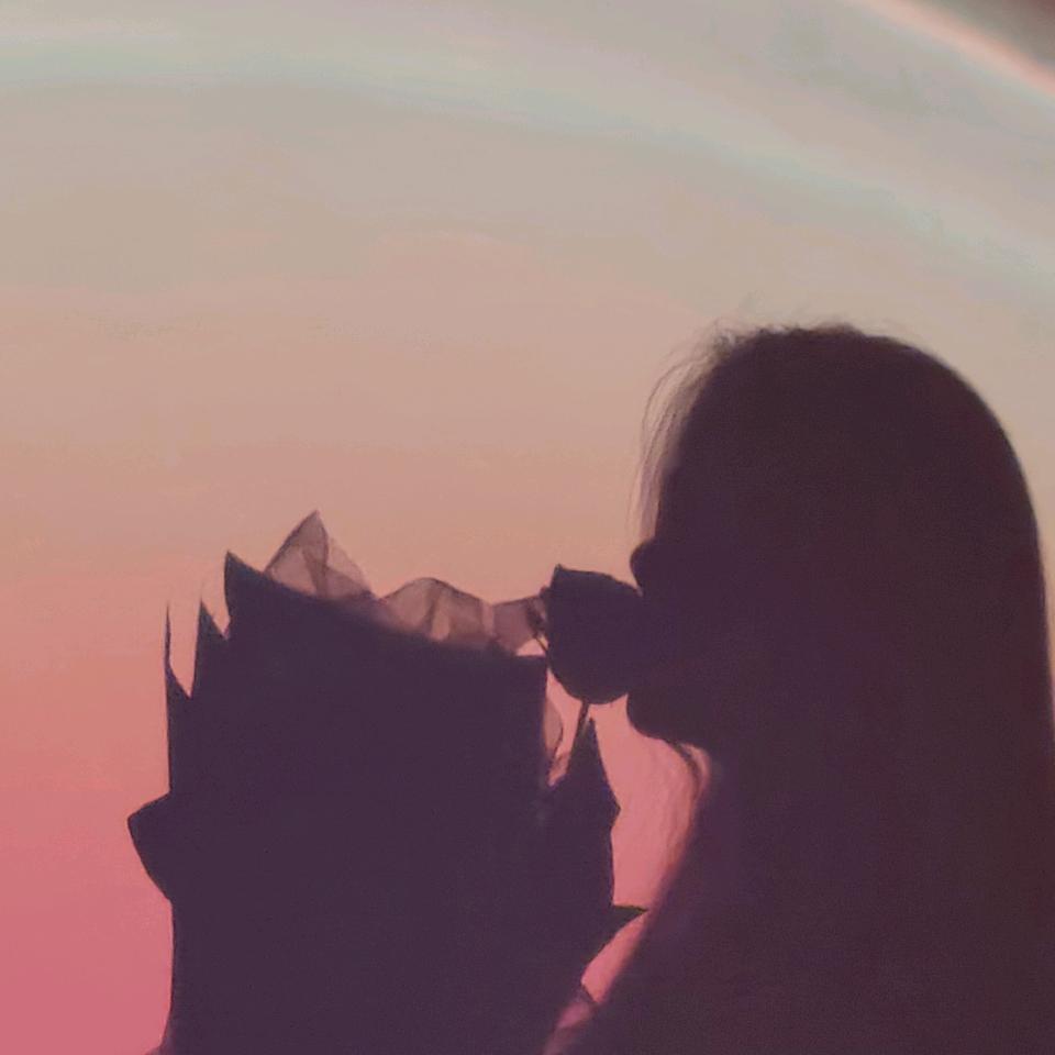 ๑阿里嘎多美羊羊