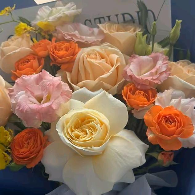 真心实意过一生