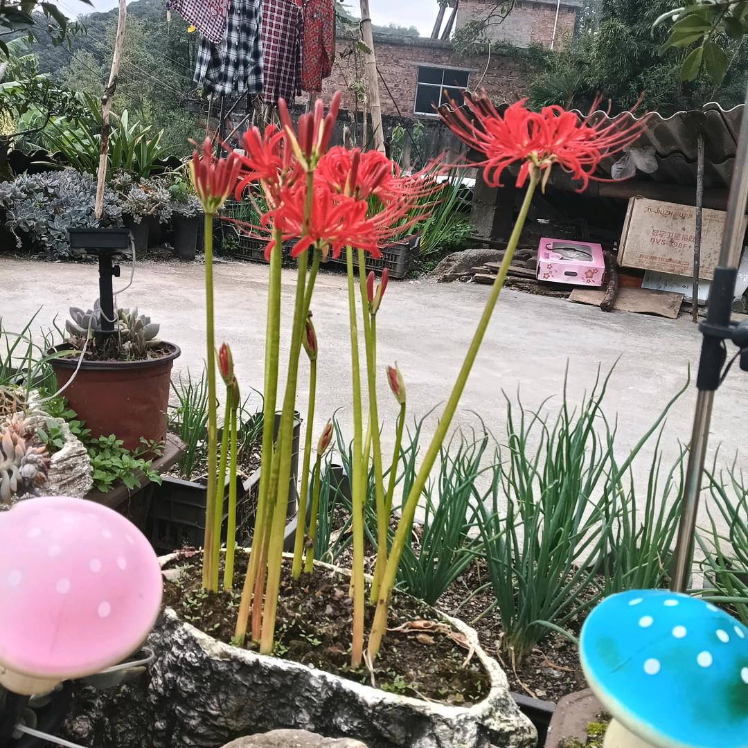刘仕均