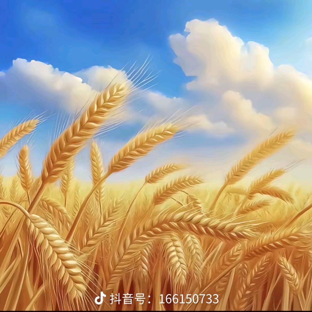 快乐在飞