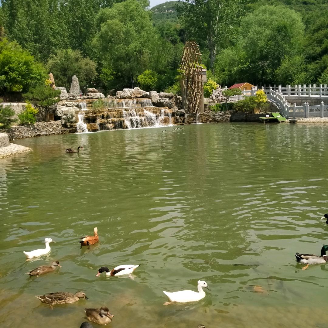 ☀️炎热的夏天☀️