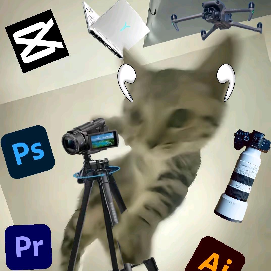 音响王哈基米曼波