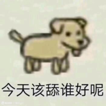 小鐘的一号舔狗