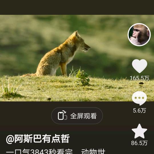 拥军精品集