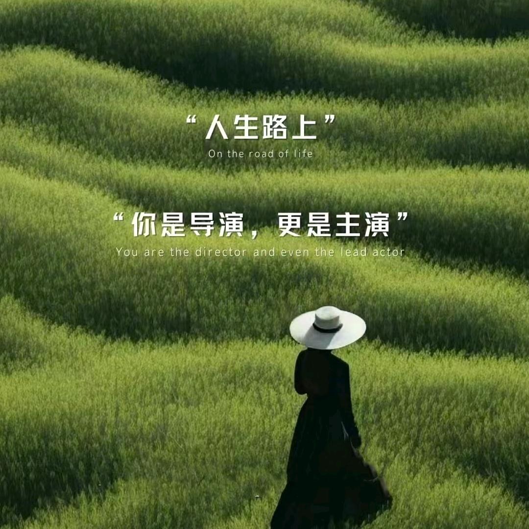 书韵