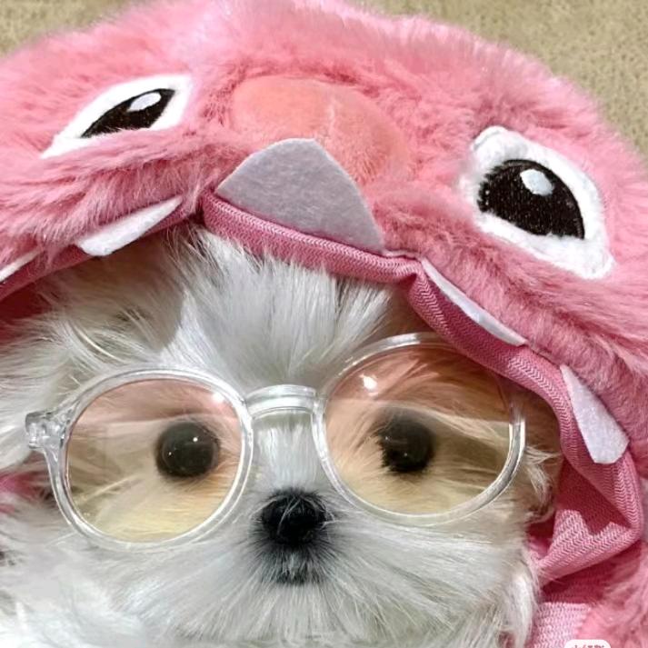 芋圆小丸子