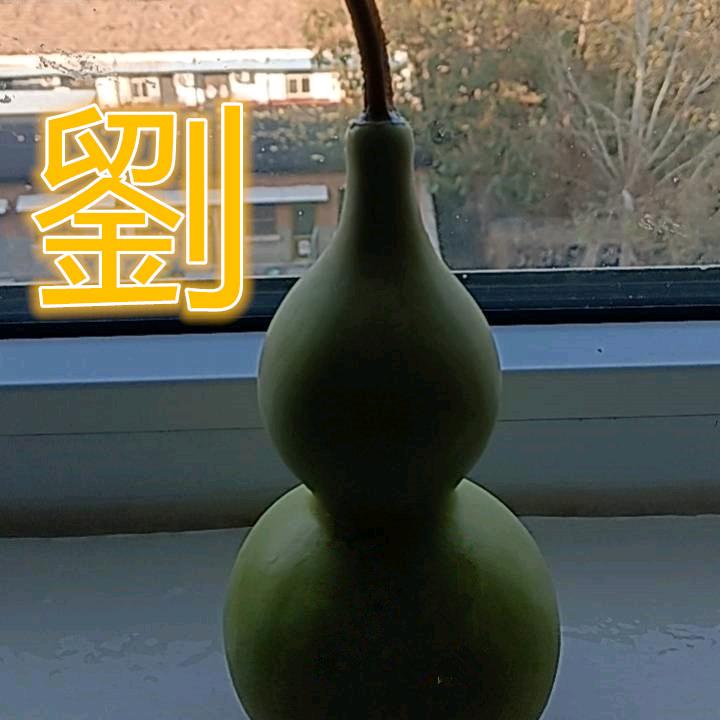 神七
