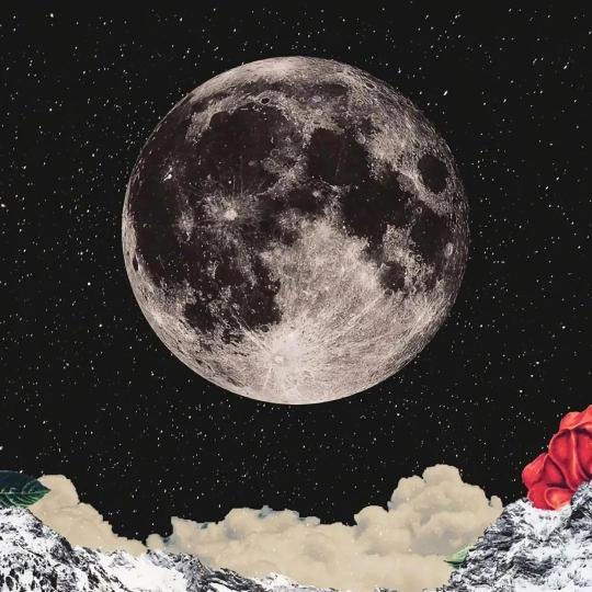 如果警察问你就说没见过