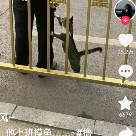 我家小可爱