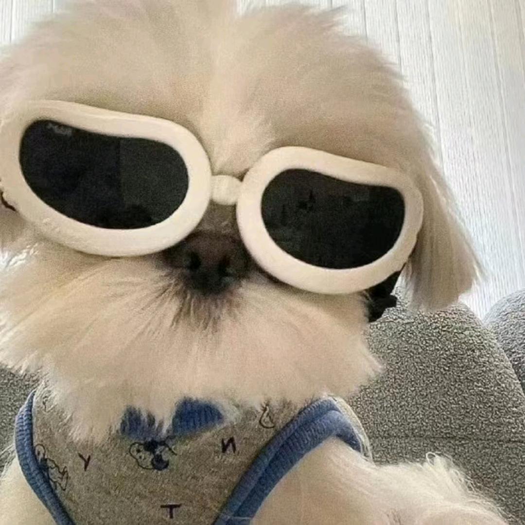 🔥不知名的n⁶⁸¹