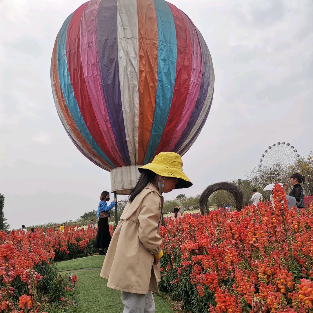 芙♡蕖