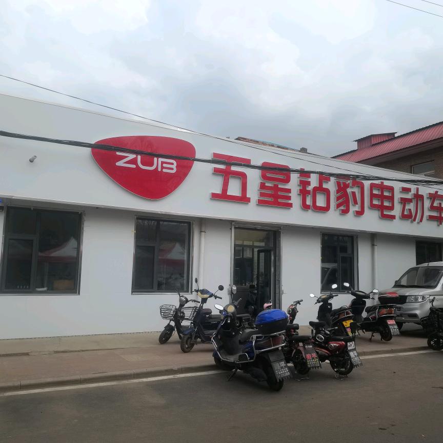 五星钻豹电动车