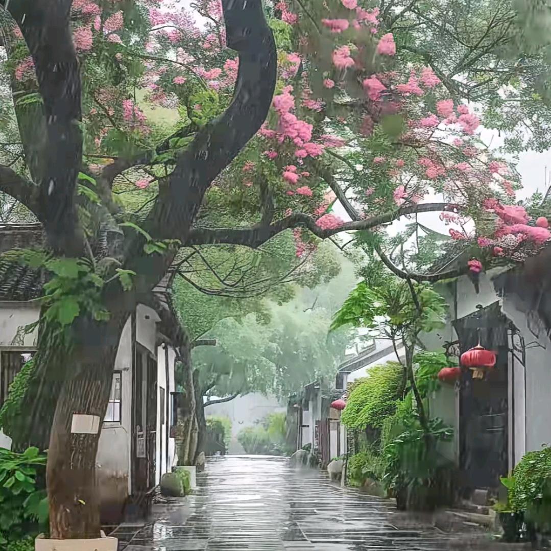 丽娜