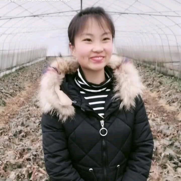 缘梦
