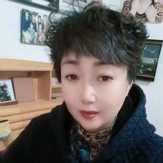 段姐大货对接