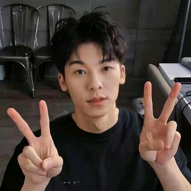 Verdure.(八次登船版🛸)