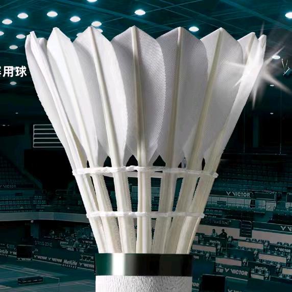 盘州小项•羽拍穿线