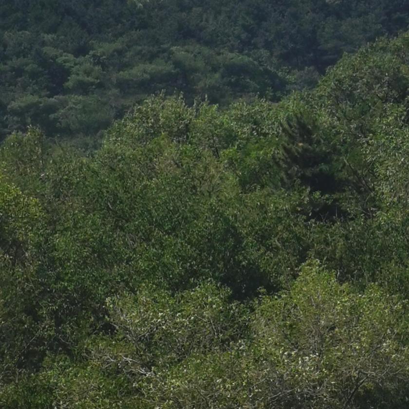 用户4517074991759