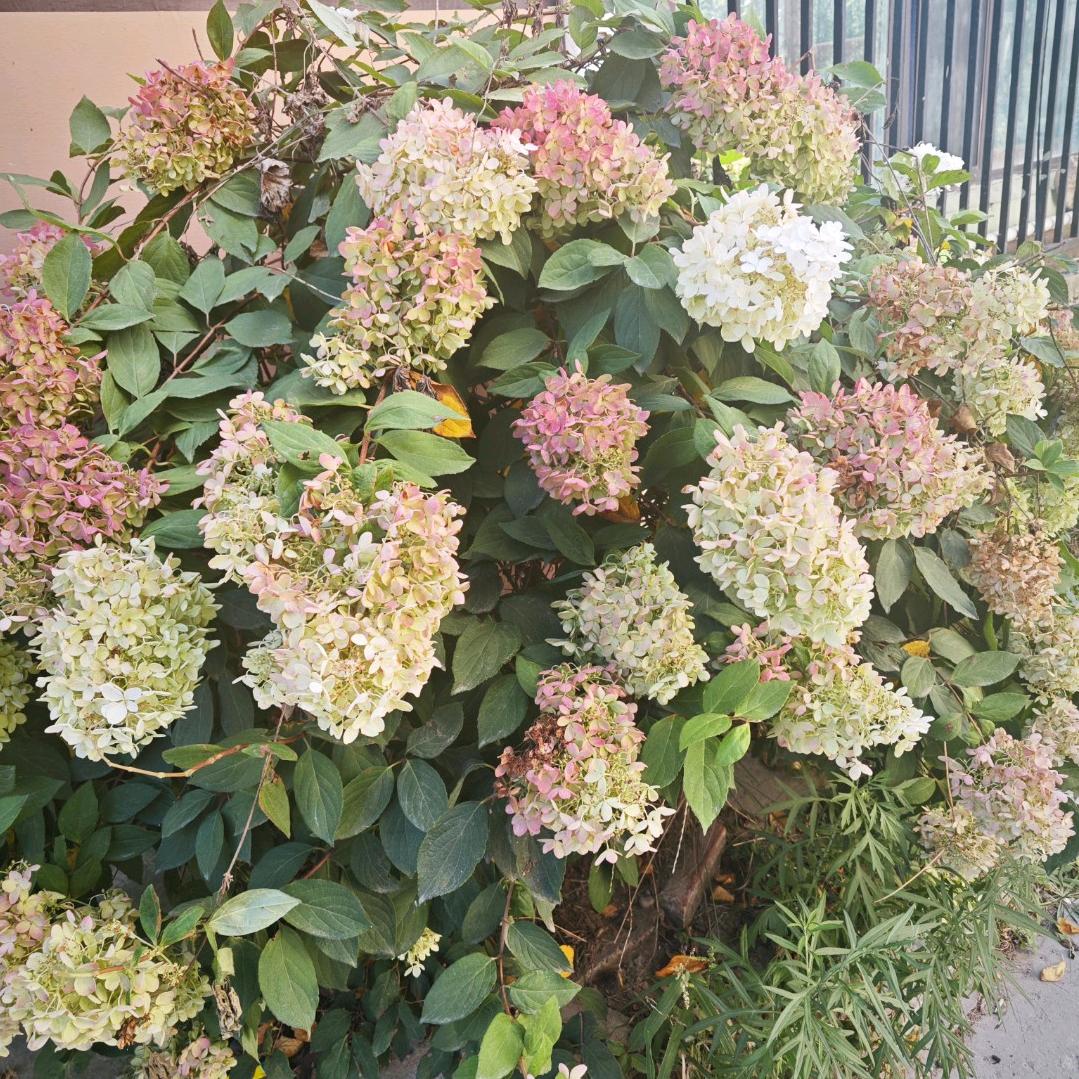 张小娜🍥🍥 🍥