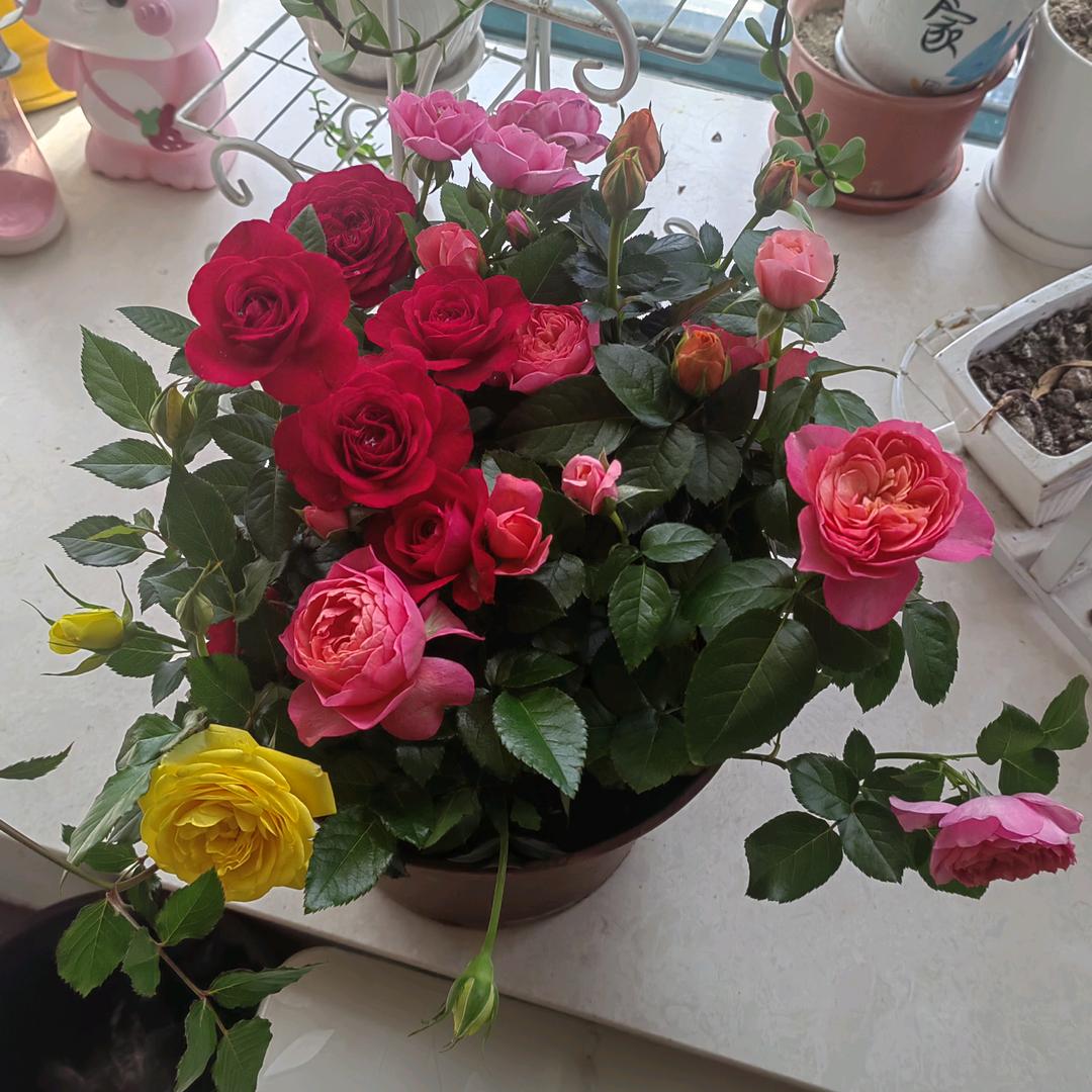 我就是我独一无二的