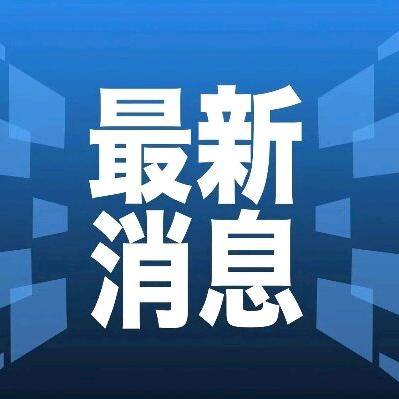 就业服务分析师