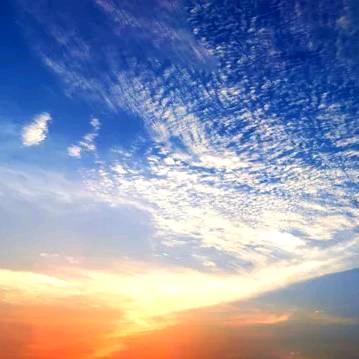 陆陆166头像
