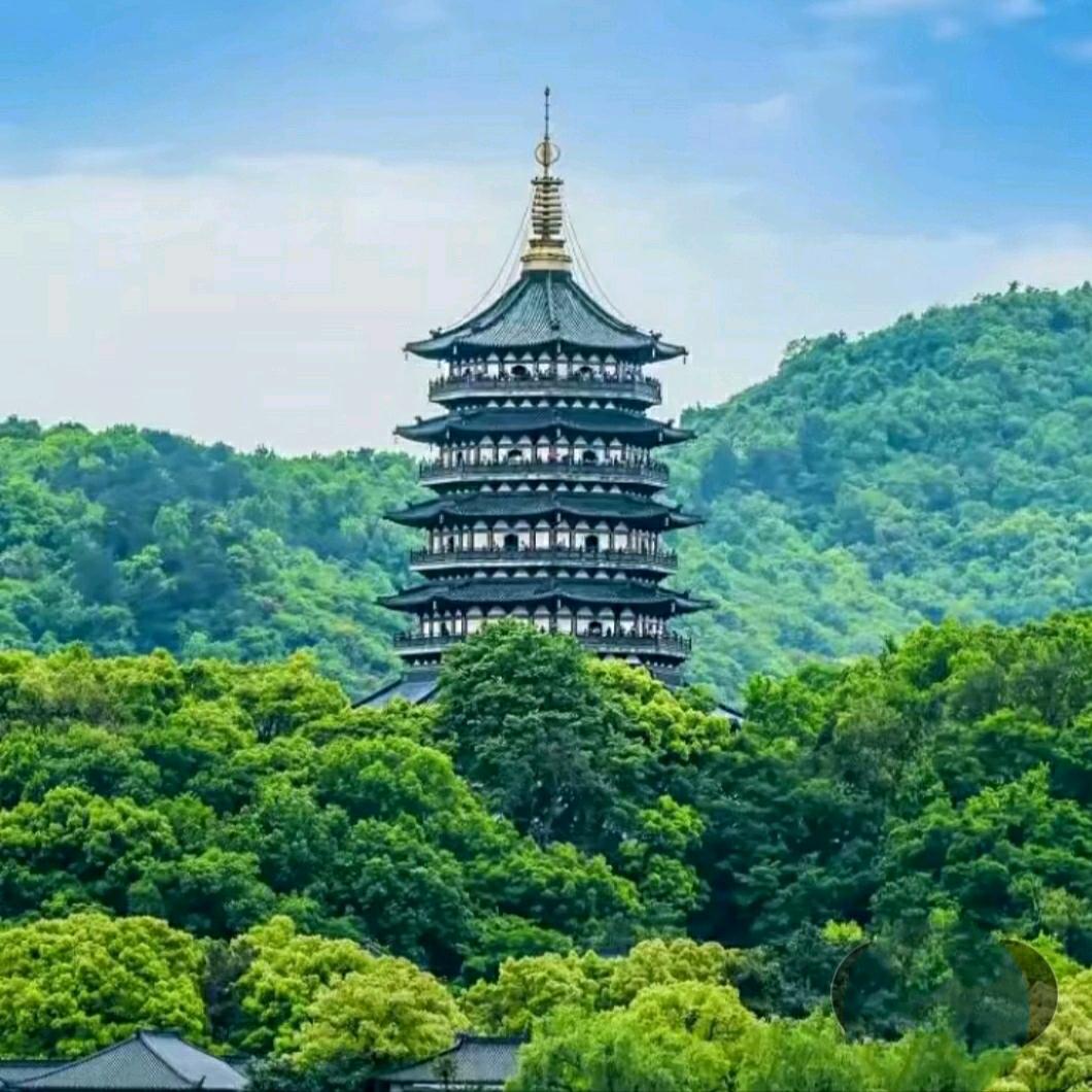 龙哥在努力