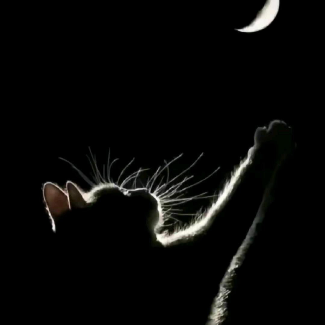 👨🏻‍✈️ 保 安