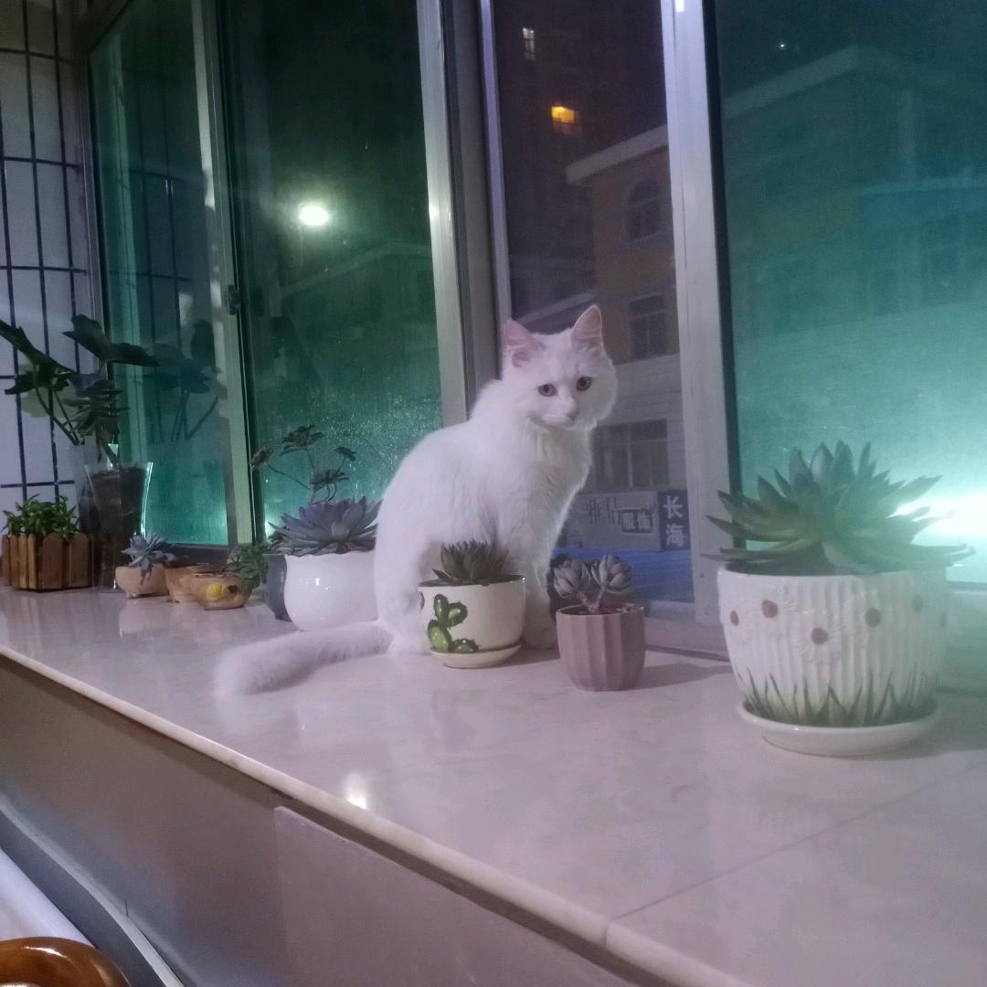 烟台市牟平区好日子旅馆