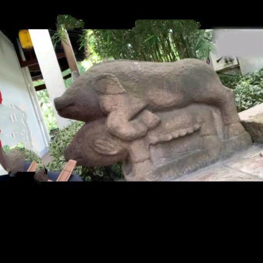 撞过天婚的猪