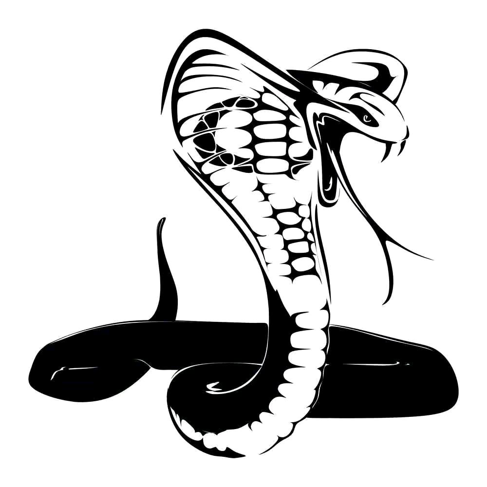 🐍🐍蛇 🐍🐍