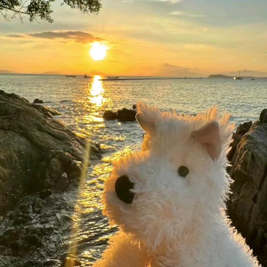 我要出去拍月亮吖🌕