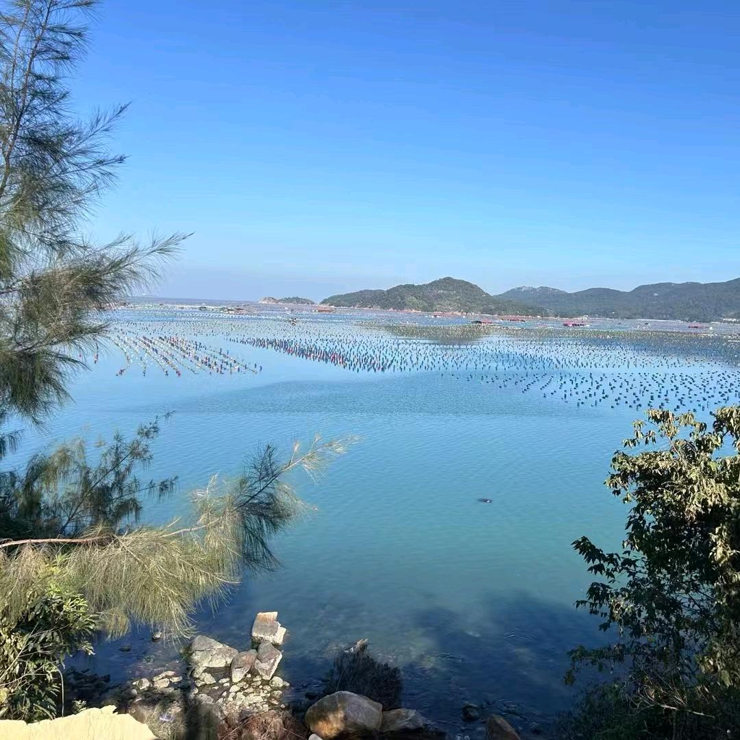 骑着蜗牛奔跑