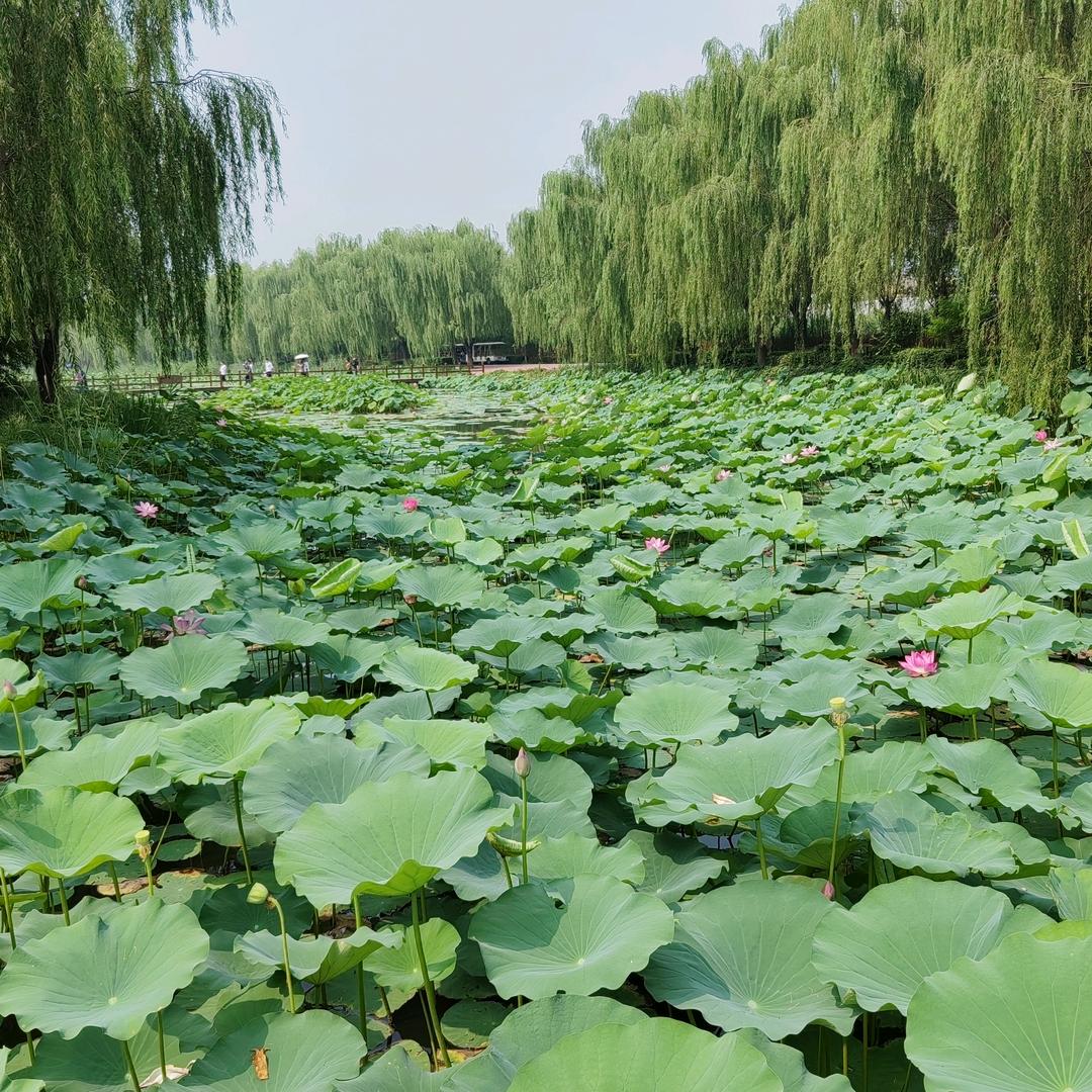 默然