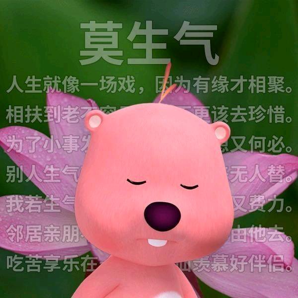 南方哈哈