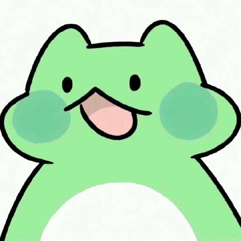 喵大宝盘点