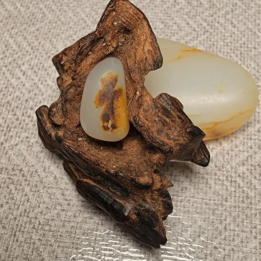 香学海