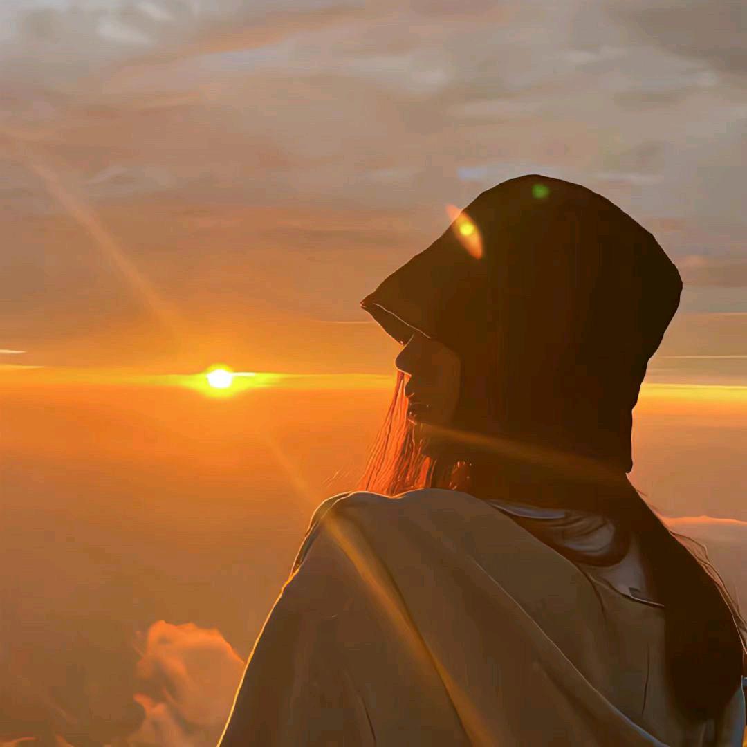 🌈太阳当空赵🌝