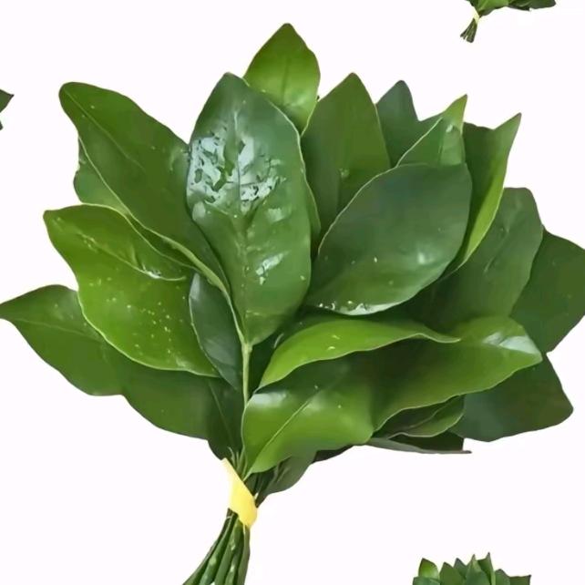 发疯的西红柿炒鸡蛋