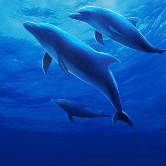 🌈月亮🌈🐟🐟🐟🐟