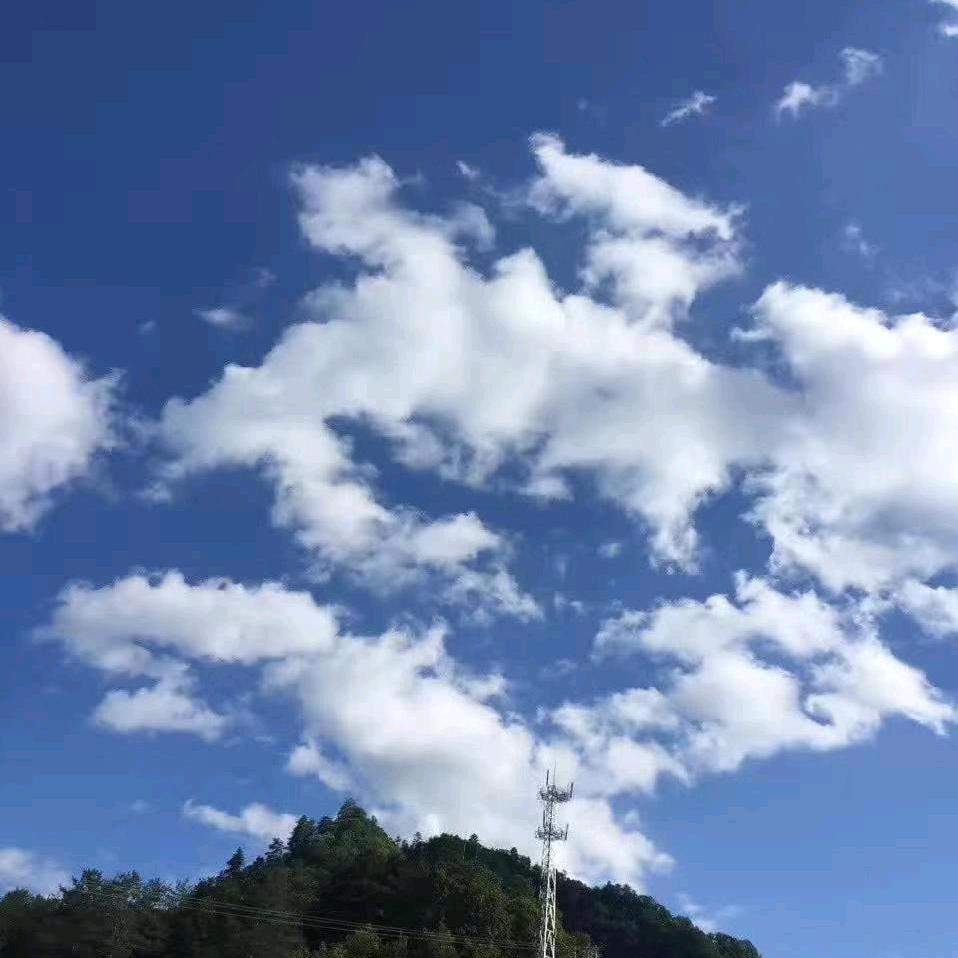 ＼＼\\٩( 'ω' )و //／／