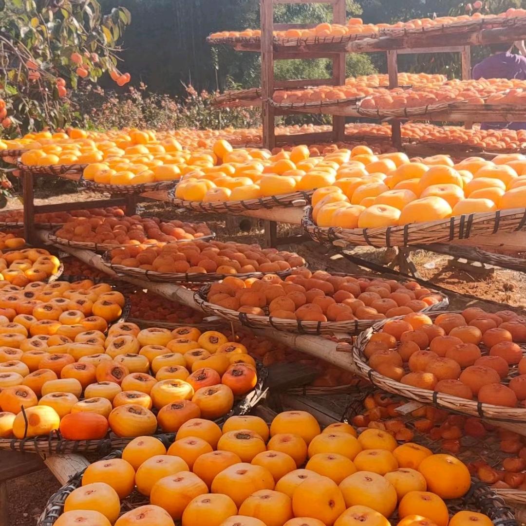 福巢市甄选鲜果汇二号