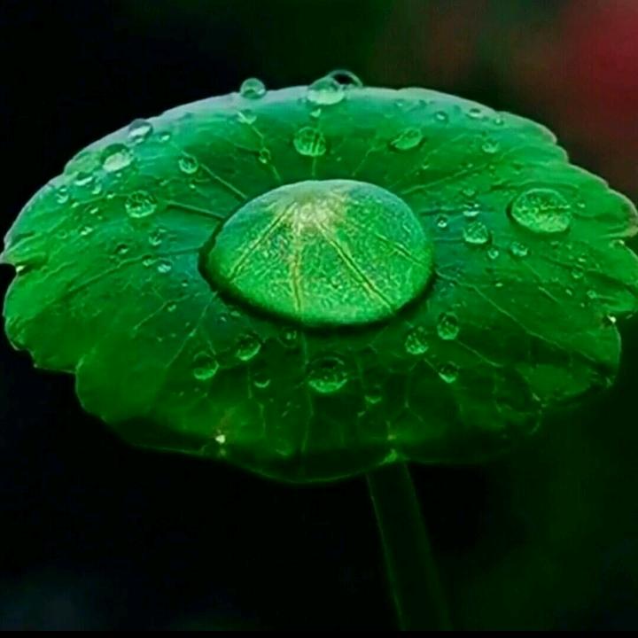 汐