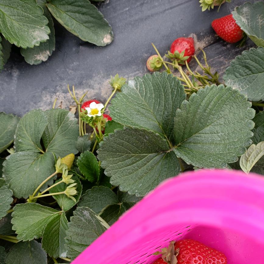 爱的世界只有你