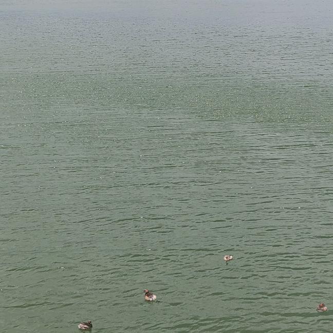 涅槃