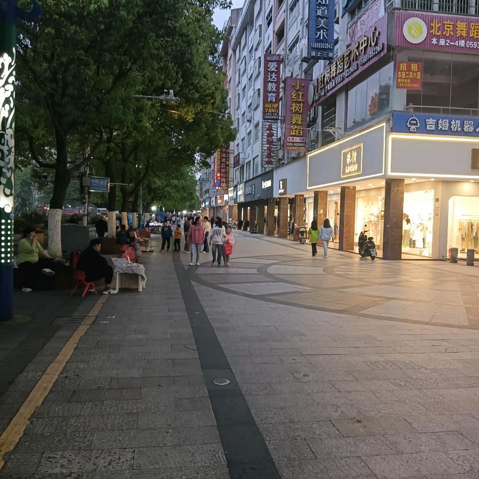 一网情深