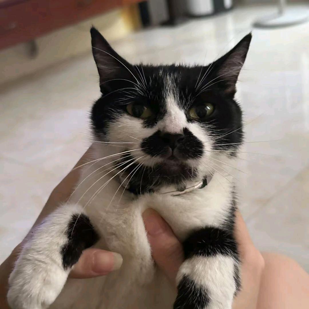 🌈北米米🌈🌈