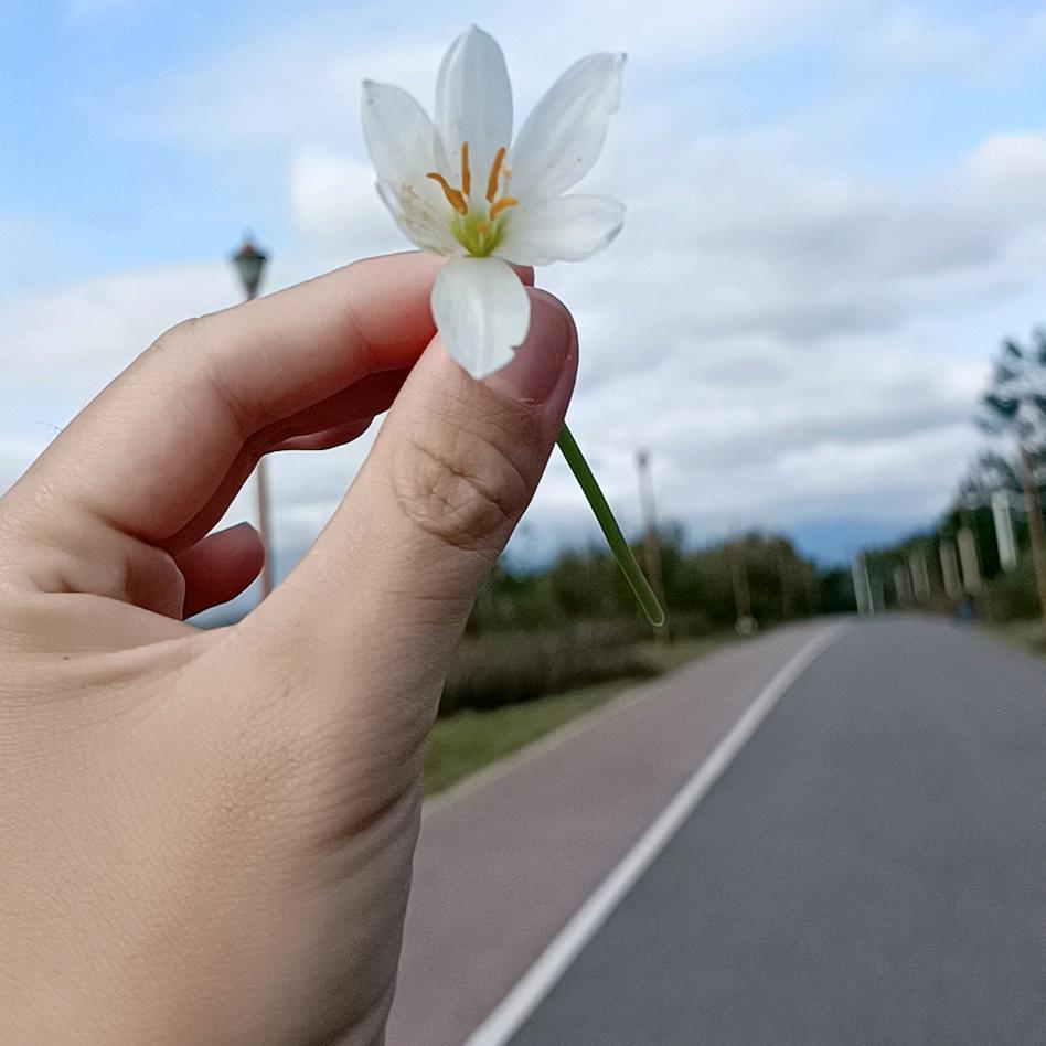 爱恨已逝，许我半生凉薄