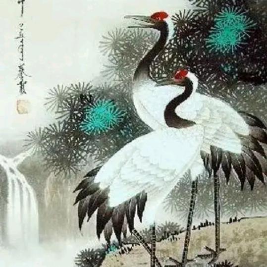 圲荟